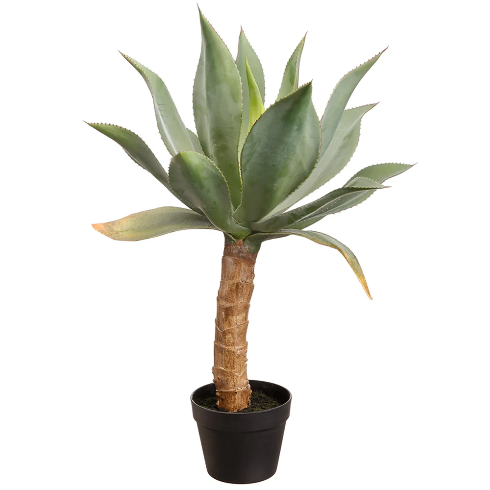 32" Artificial Agave Plant w/Plastic Pot -Green (Pack of 2)