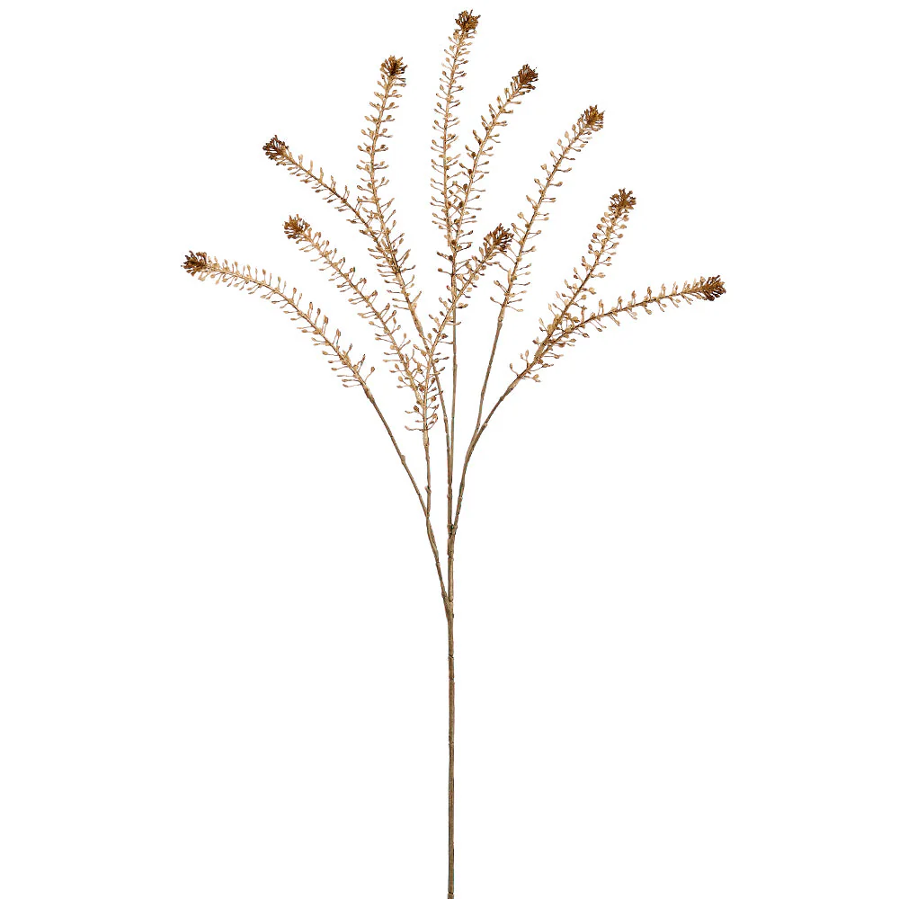 32" Artificial Peppergrass Grass Stem -Beige (Pack of 12)