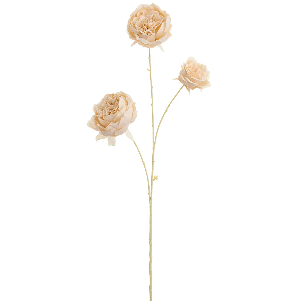 32" Cabbage Rose Silk Flower Stem -Cream (Pack of 12)