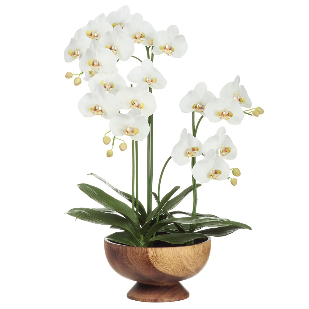 32" Hand-Wrapped Phalaenopsis Orchid Artificial Flower Arrangement w/Wood Planter -Cream/Green