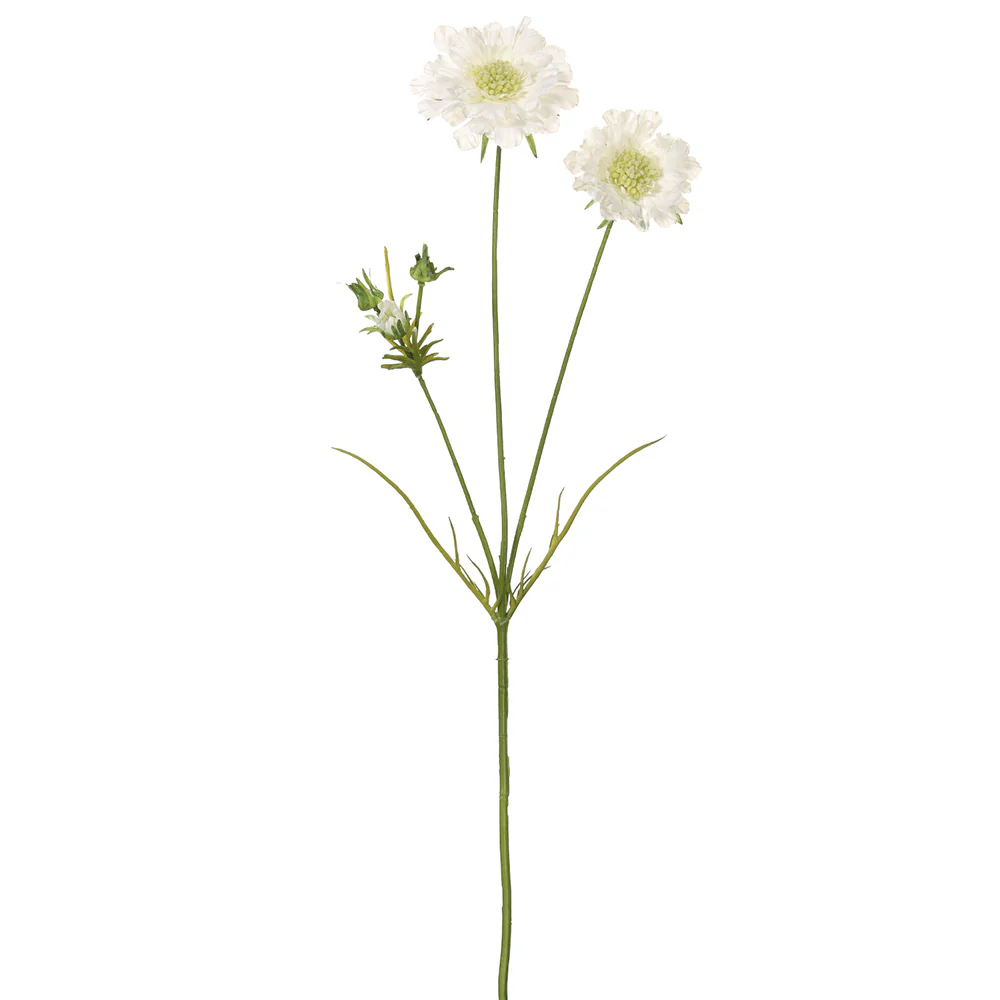 32" Silk Scabiosa Flower Stem -White (Pack of 12)