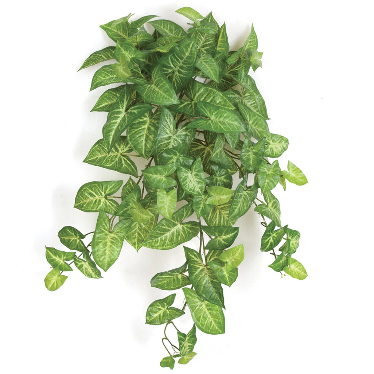 32" Soft-Touch Hanging Syngonium Silk Plant -Variegated Green (Pack of 6)