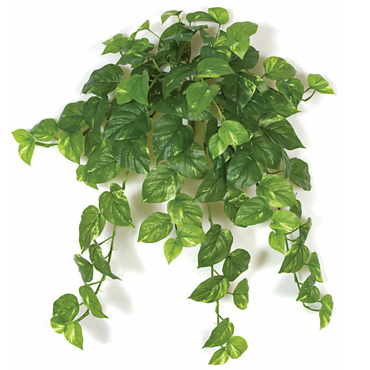 32" Soft-Touch Plastic Hanging Pothos Plant -Green/Cream (Pack of 4)