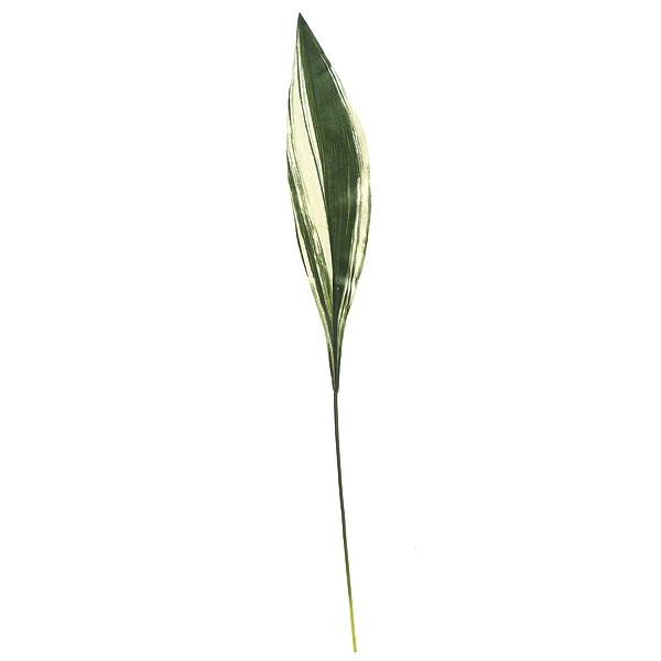32" Soft-Touch Silk Dracaena Leaf Stem -Green/White (Pack of 24)
