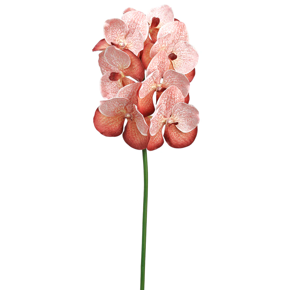 33" Hand-Wrapped Vanda Orchid Silk Flower Stem -Rust (Pack of 6)