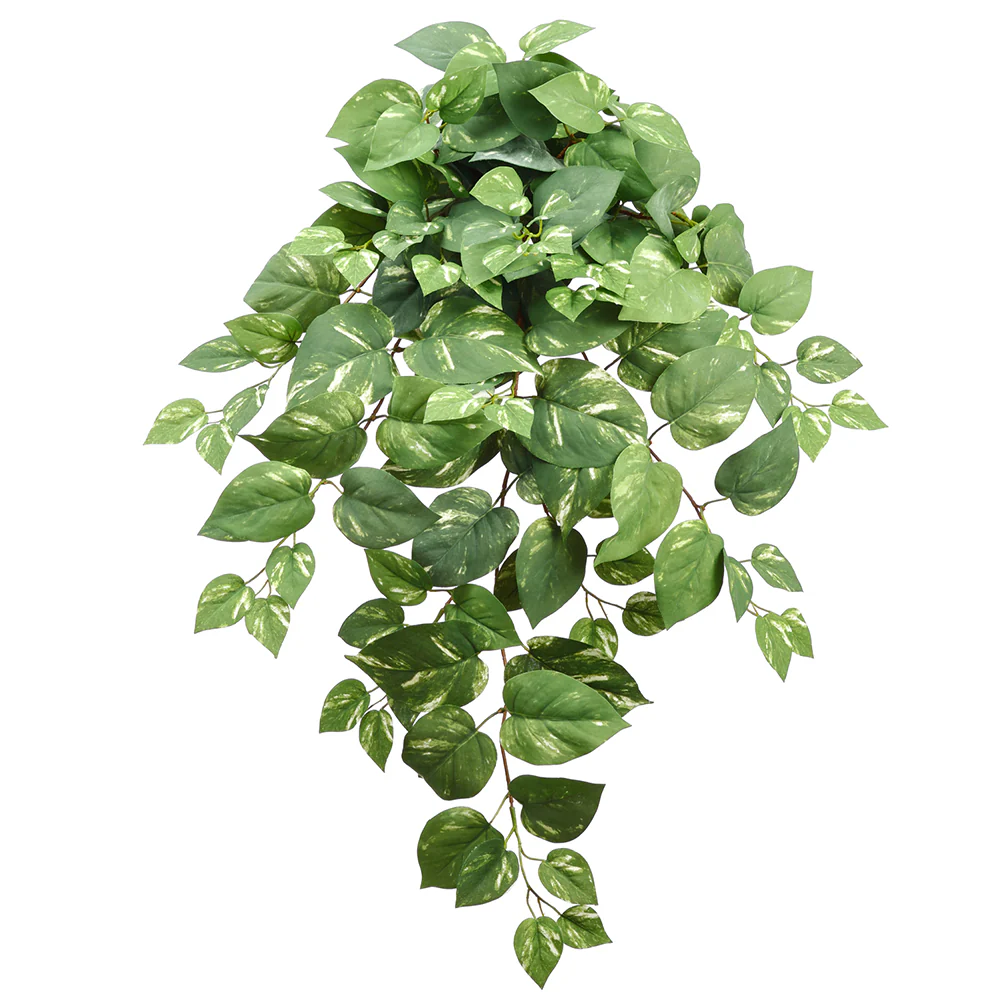 33" Hanging Silk Pothos Leaf Plant -Green (Pack of 6)