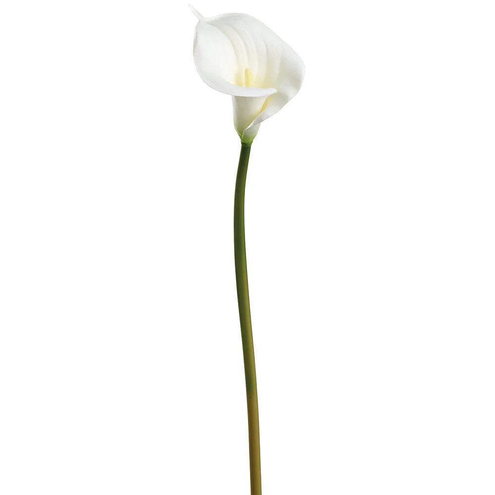 33" Large Calla Lily Silk Flower Stem -White (Pack of 8)