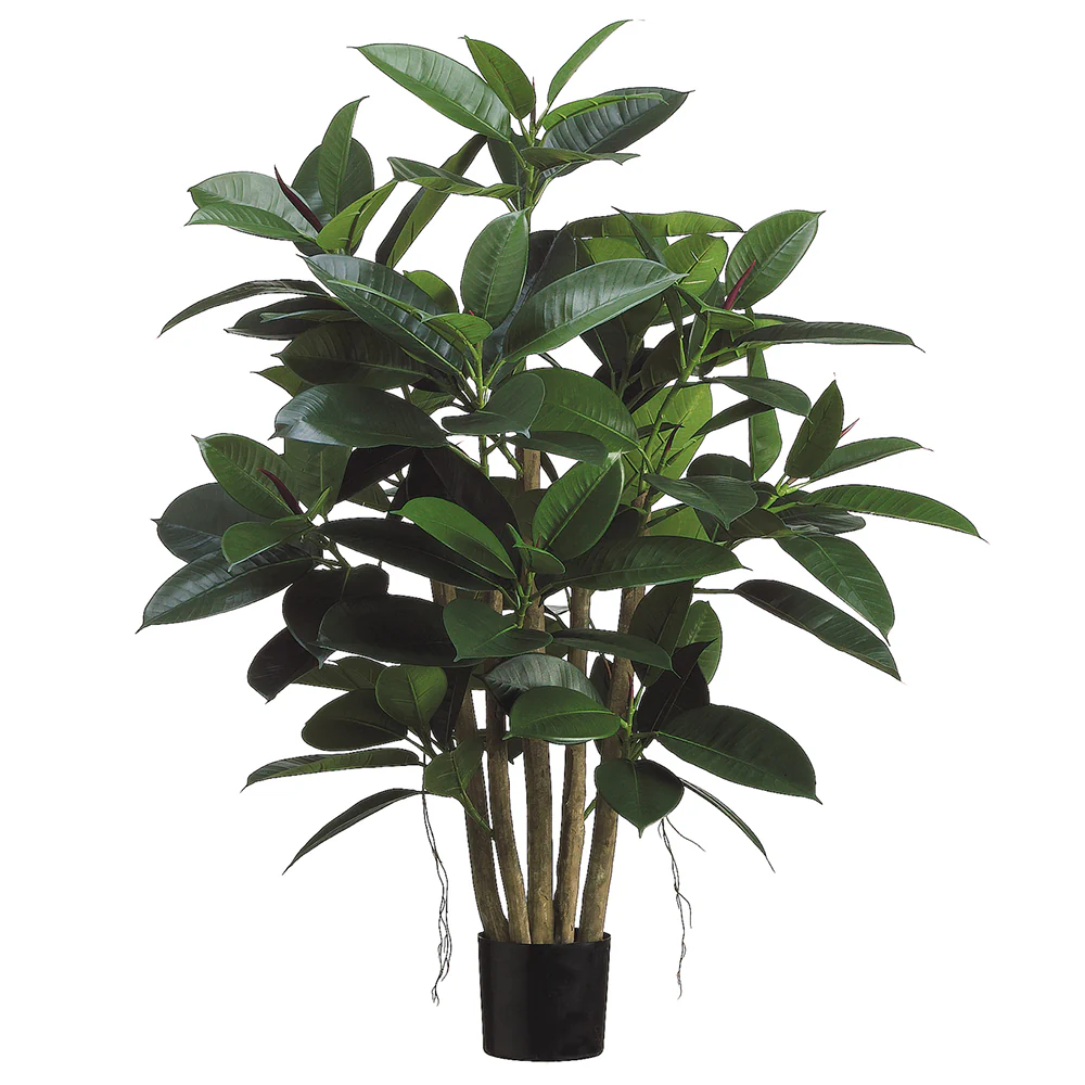 3'3" Rubber Leaf Silk Tree w/Pot -Green (Pack of 2)