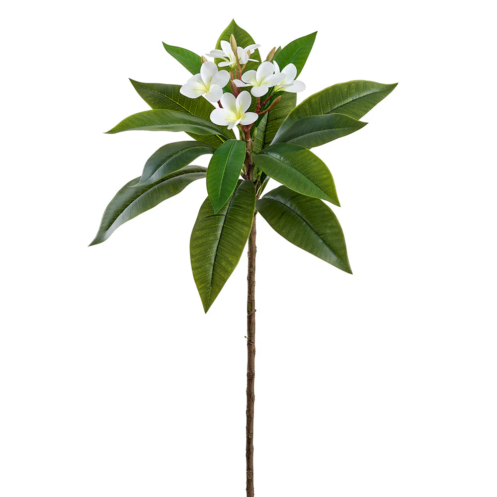 34" Frangipani Plumeria Silk Flower Stem -White/Yellow (Pack of 6)