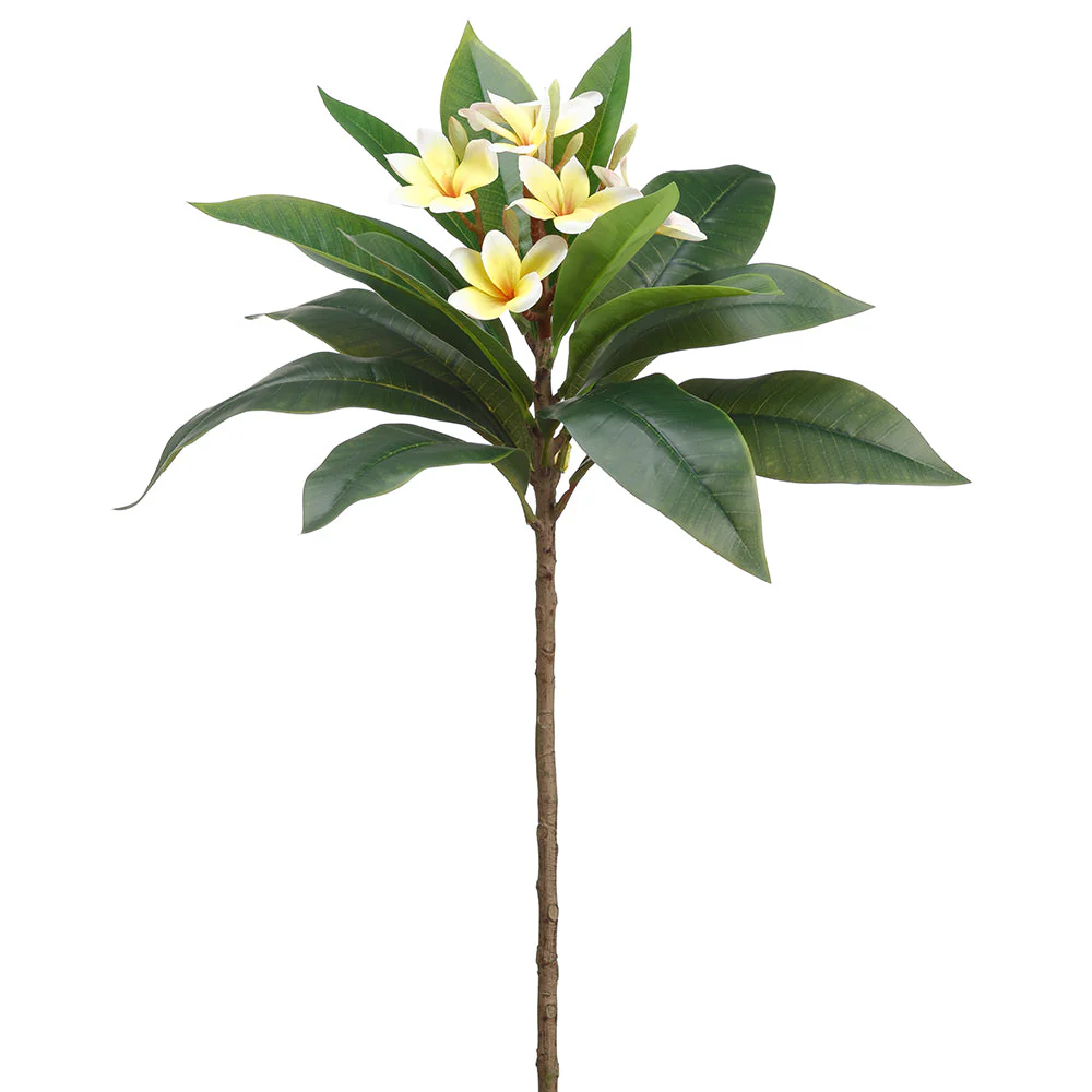 34" Frangipani Plumeria Silk Flower Stem -Yellow/White (Pack of 6)