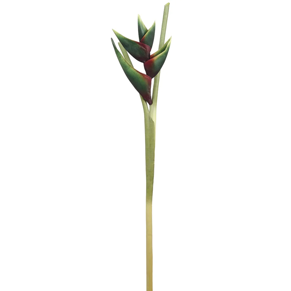 34" Hand-Wrapped Hawaiian Heliconia Silk Flower Stem -Green/Burgundy (Pack of 6)