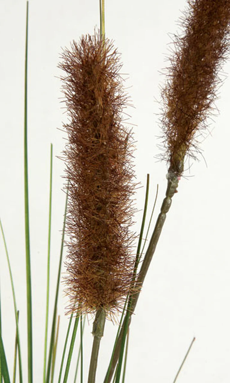 34" IFR PVC Artificial Onion Grass & Foxtail Stem -Dark Brown (Pack of 24) - Image 2