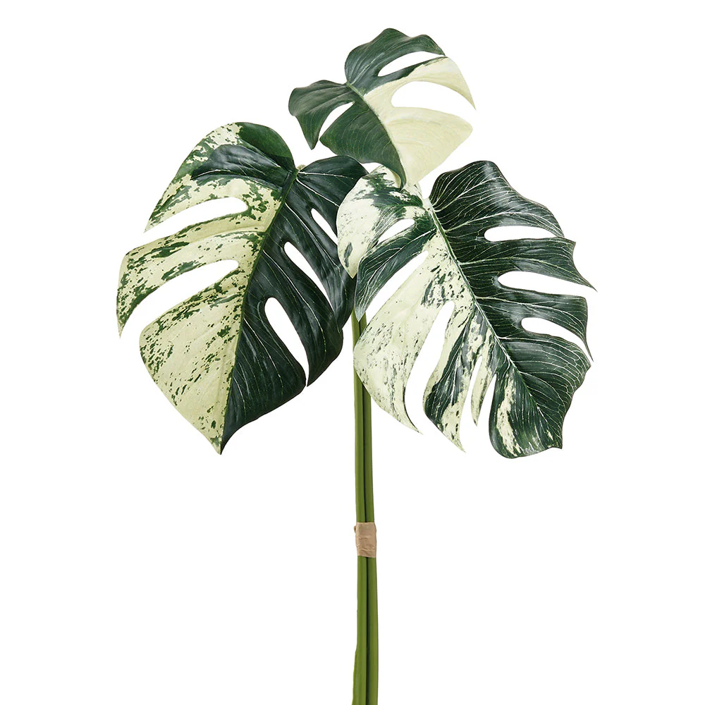 34" Monstera Split Philodendron Leaf Silk Stem Bundle -Green/Cream (Pack of 6)