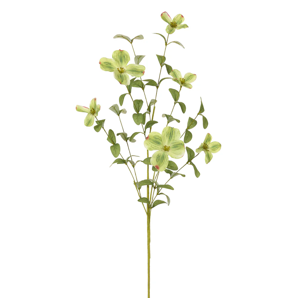 34" Silk Dogwood Blossom Flower Stem -Green (Pack of 12)