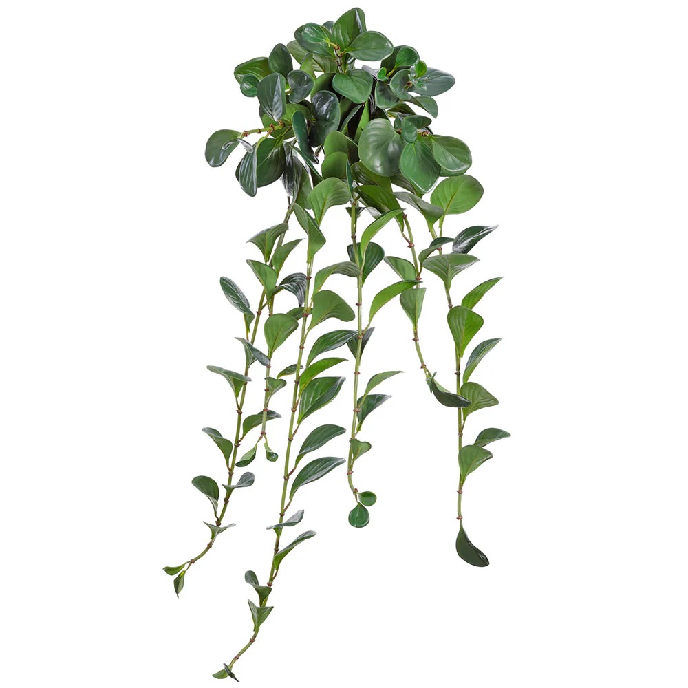 34" Silk Pepperomia Leaf Hanging Plant -Green (Pack of 6)