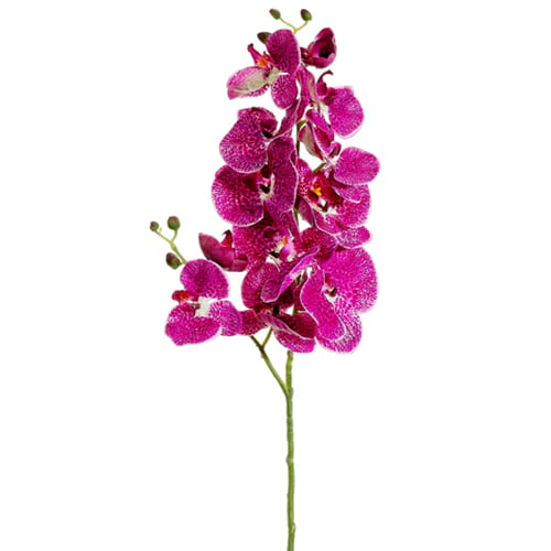 34" Silk Phalaenopsis Orchid Flower Spray -Orchid/Cream (Pack of 12)