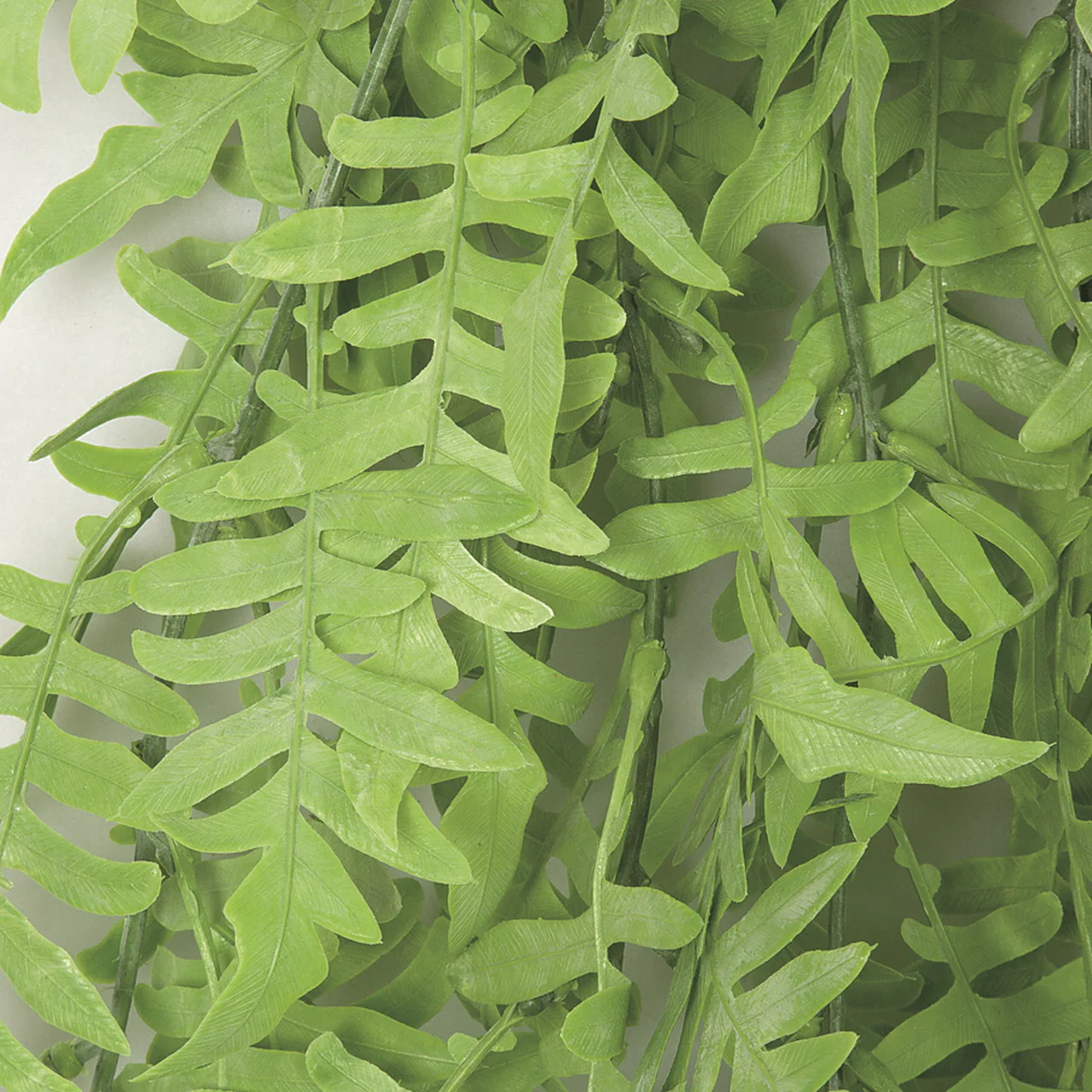 35" IFR Artificial Curly Fern Leaf Hanging Plant -Light Green (Pack of 6) - Image 2