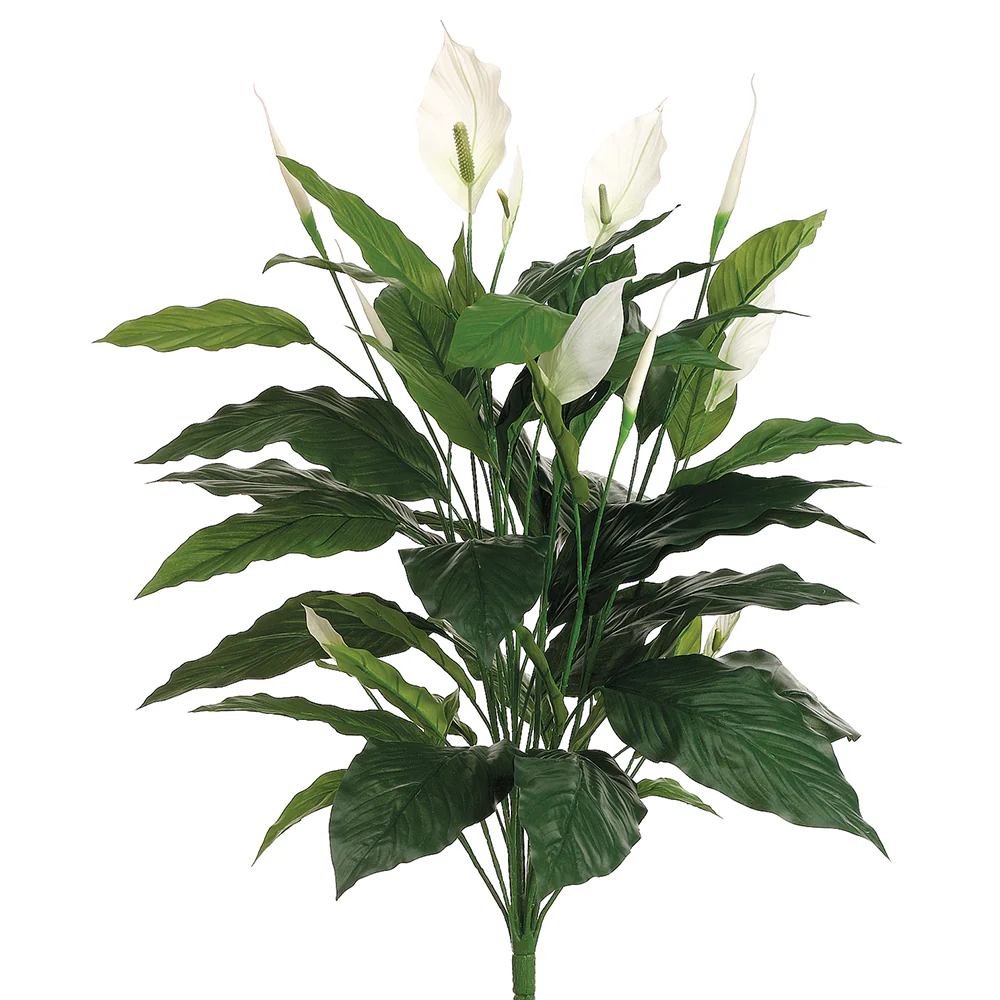 35" Peace Lily Spathiphyllum Silk Plant -Green (Pack of 6)