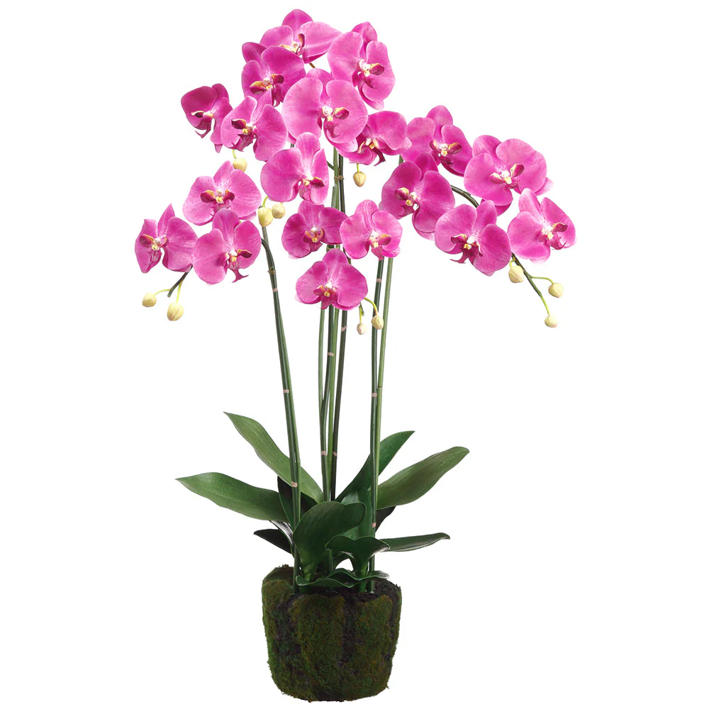 35" Phalaenopsis Orchid Silk Flower Arrangement w/Soil & Moss Base -2 Tone Orchid