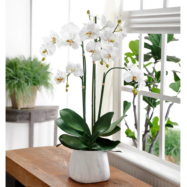 35" Phalaenopsis Orchid Silk Flower Arrangement -White - Image 2