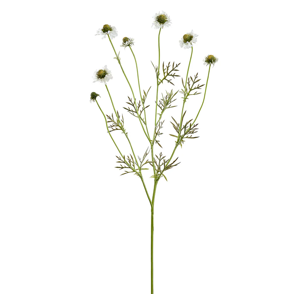35" Scabiosa Silk Flower Stem -White (Pack of 12)