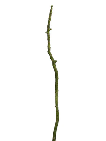 36.5" Artificial Twig Branch -Green (Pack of 24)