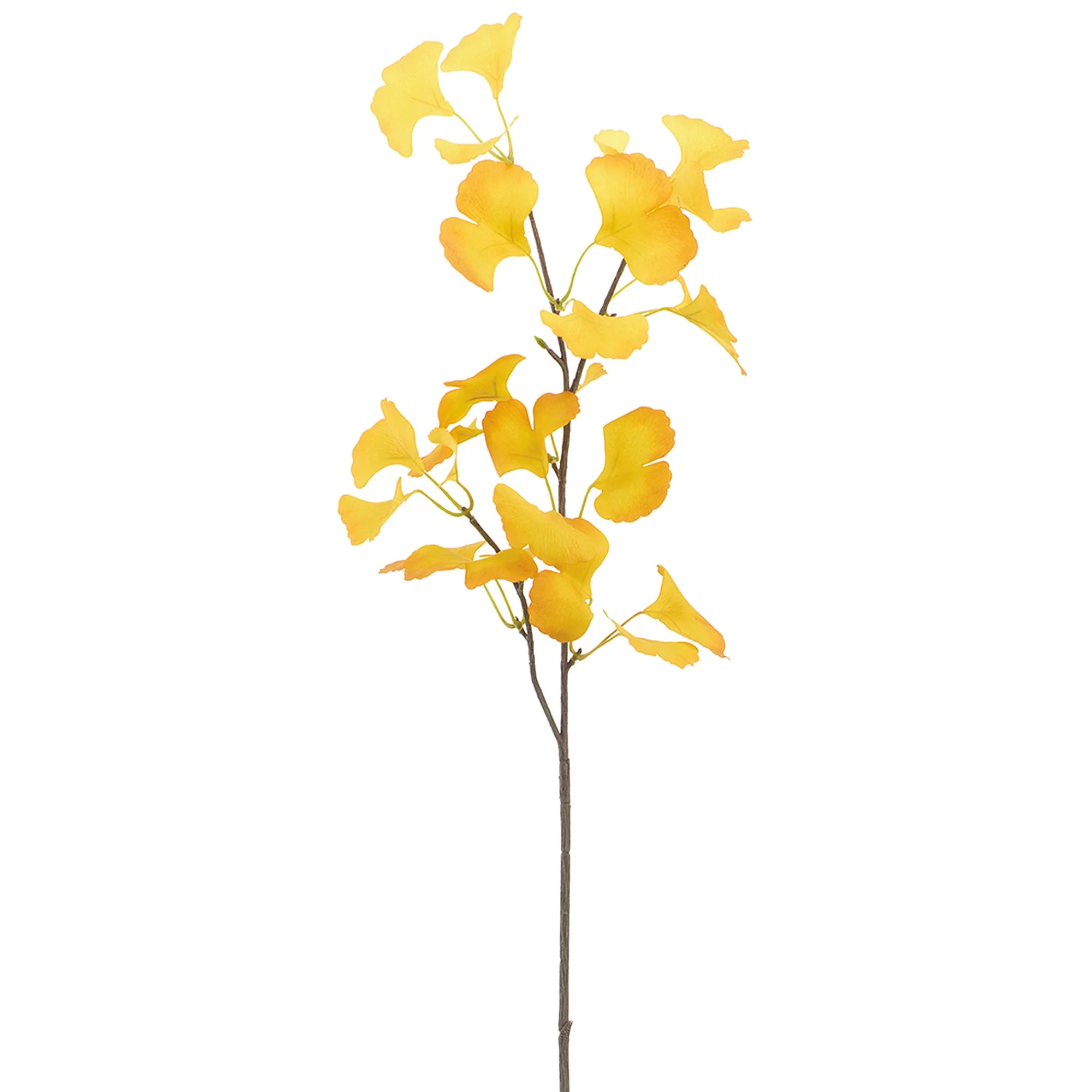 36.5" Ginkgo Leaf Silk Stem -Yellow (Pack of 12)