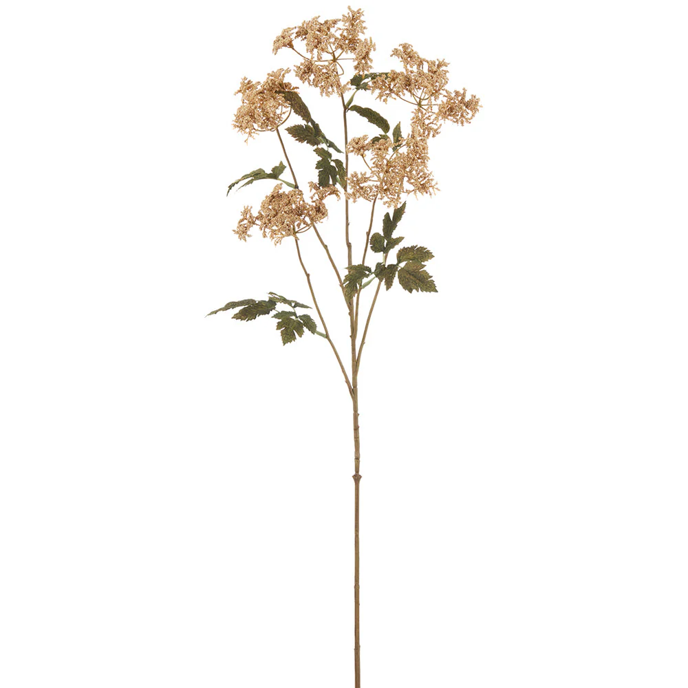 36.5" Queen Anne's Lace Artificial Flower Stem -Cream (Pack of 12)