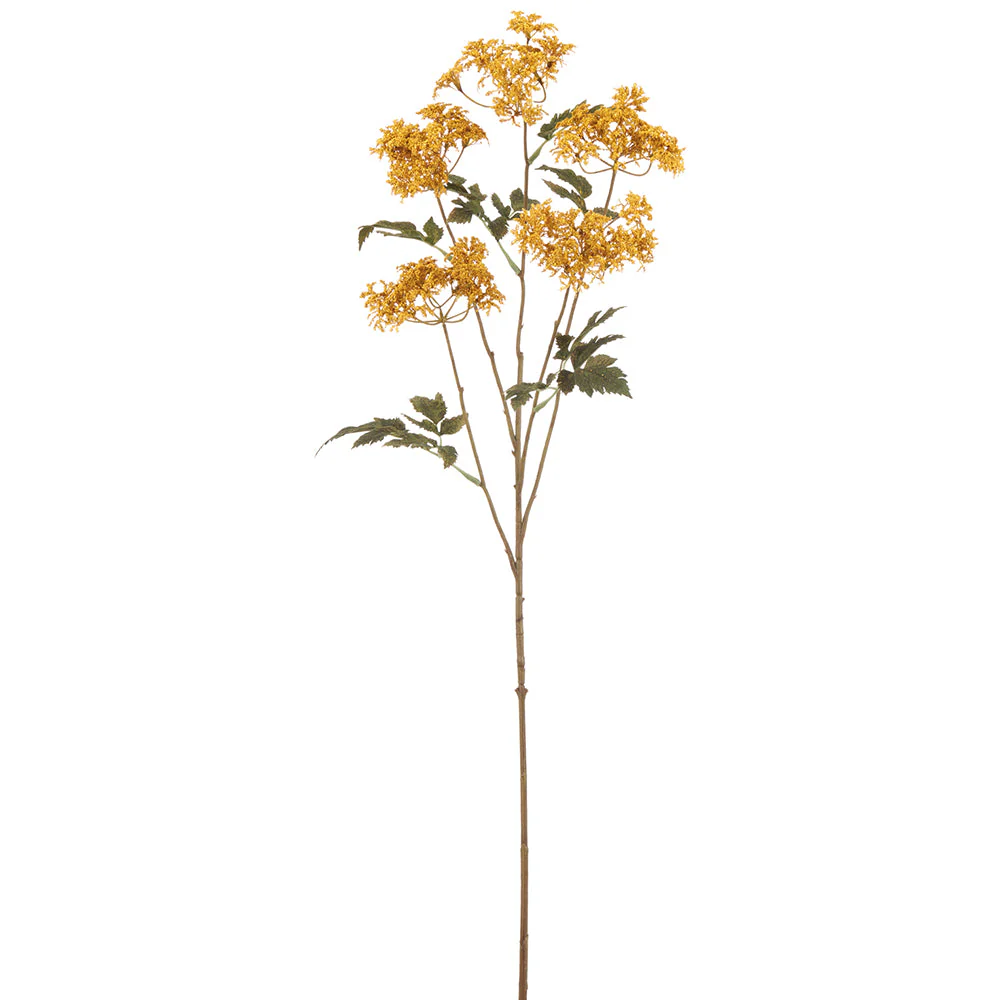36.5" Queen Anne's Lace Artificial Flower Stem -Mustard (Pack of 12)