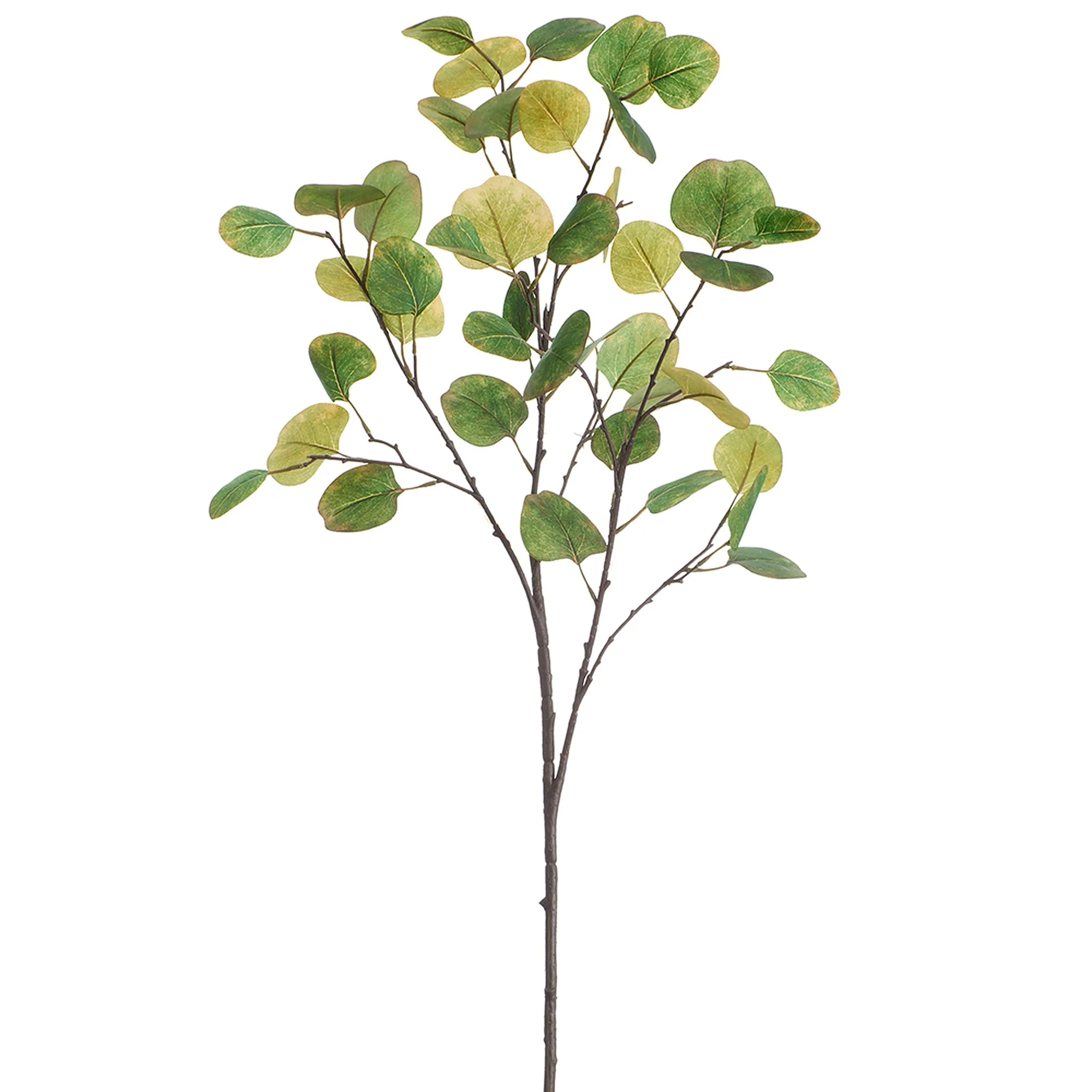 36" Eucalyptus Leaf Silk Stem -Green (Pack of 6)