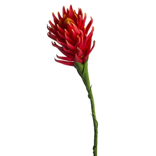 36" Hand-Wrapped Artificial Protea Flower Stem -Red/Orange (Pack of 12)