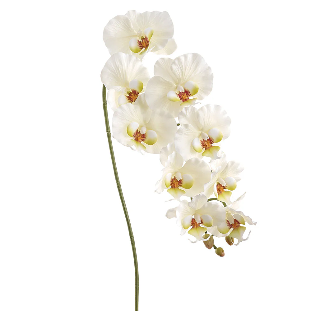 36" Hand-Wrapped Phalaenopsis Orchid Silk Flower Stem -White/Yellow (Pack of 12)