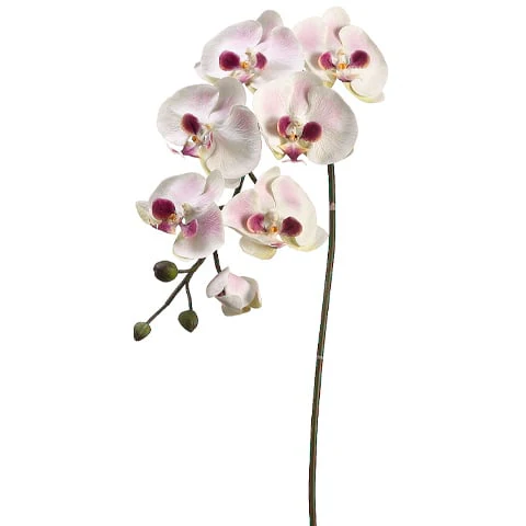 36" Hand-Wrapped Silk Large Phalaenopsis Orchid Flower Spray -Cream/Mauve (Pack of 6)