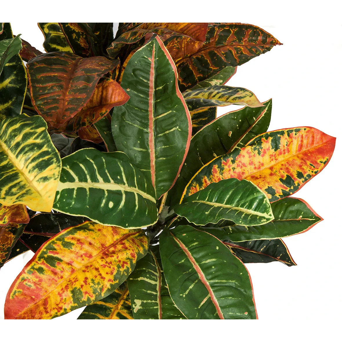 36" IFR Croton Artificial Plant -Red/Green (Pack of 2) - Image 3