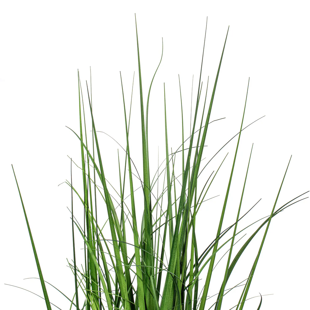 36" Lemongrass Artificial Plant w/Pot -Green - Image 2