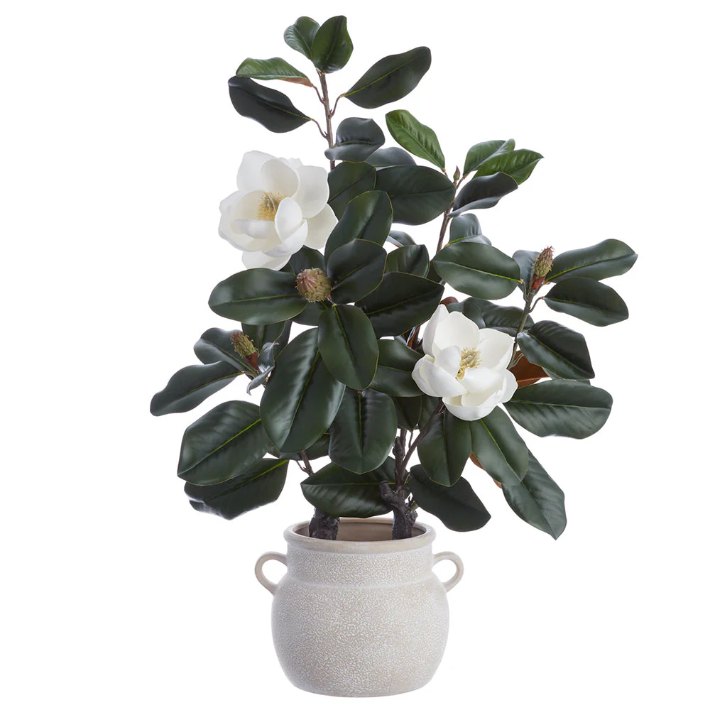 36" Magnolia Silk Flower Arrangement w/Terra Cotta Vase -White