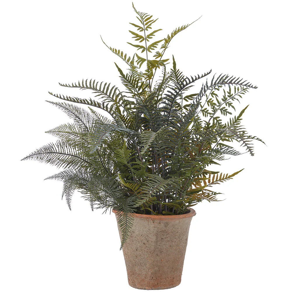 36" Mixed Fern & Cycas Palm Leaf Silk Plant w/Clay Pot -Green (Pack of 2)