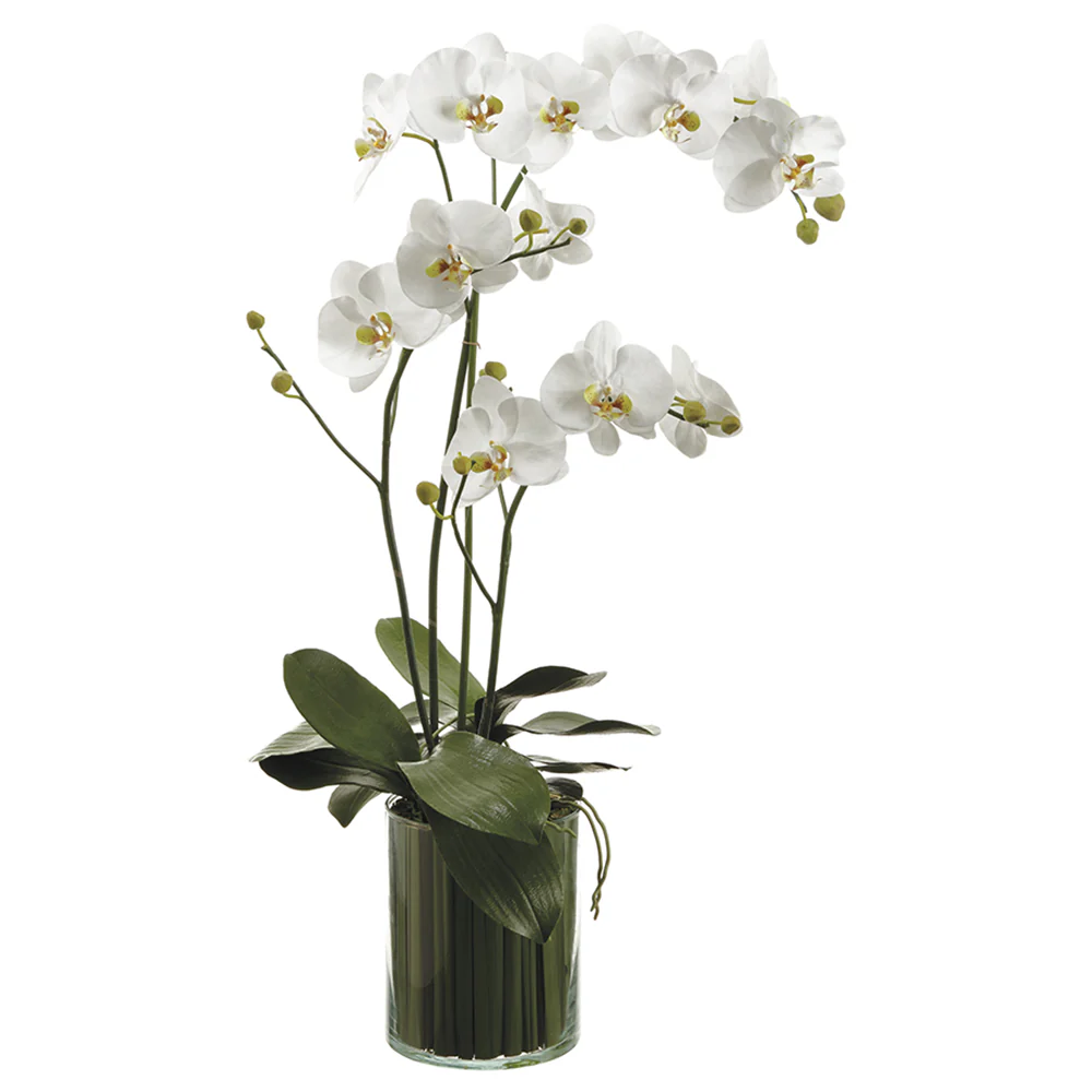 36" Silk Orchid Flower Arrangement w/Soil & Glass Vase -White/Green