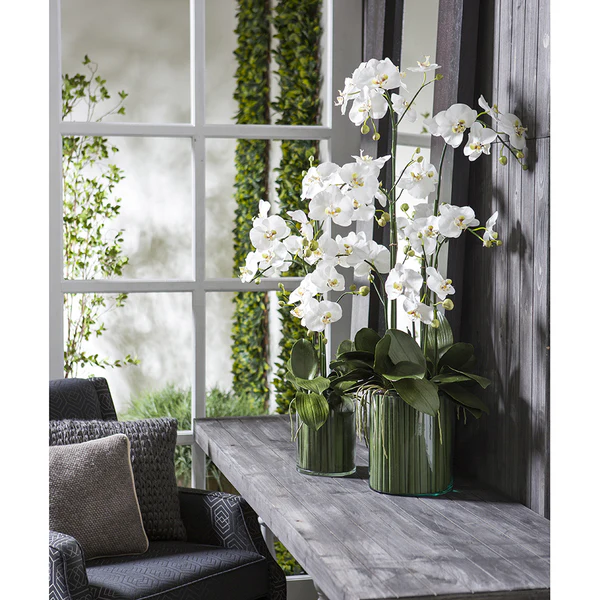 36" Silk Orchid Flower Arrangement w/Soil & Glass Vase -White/Green - Image 3
