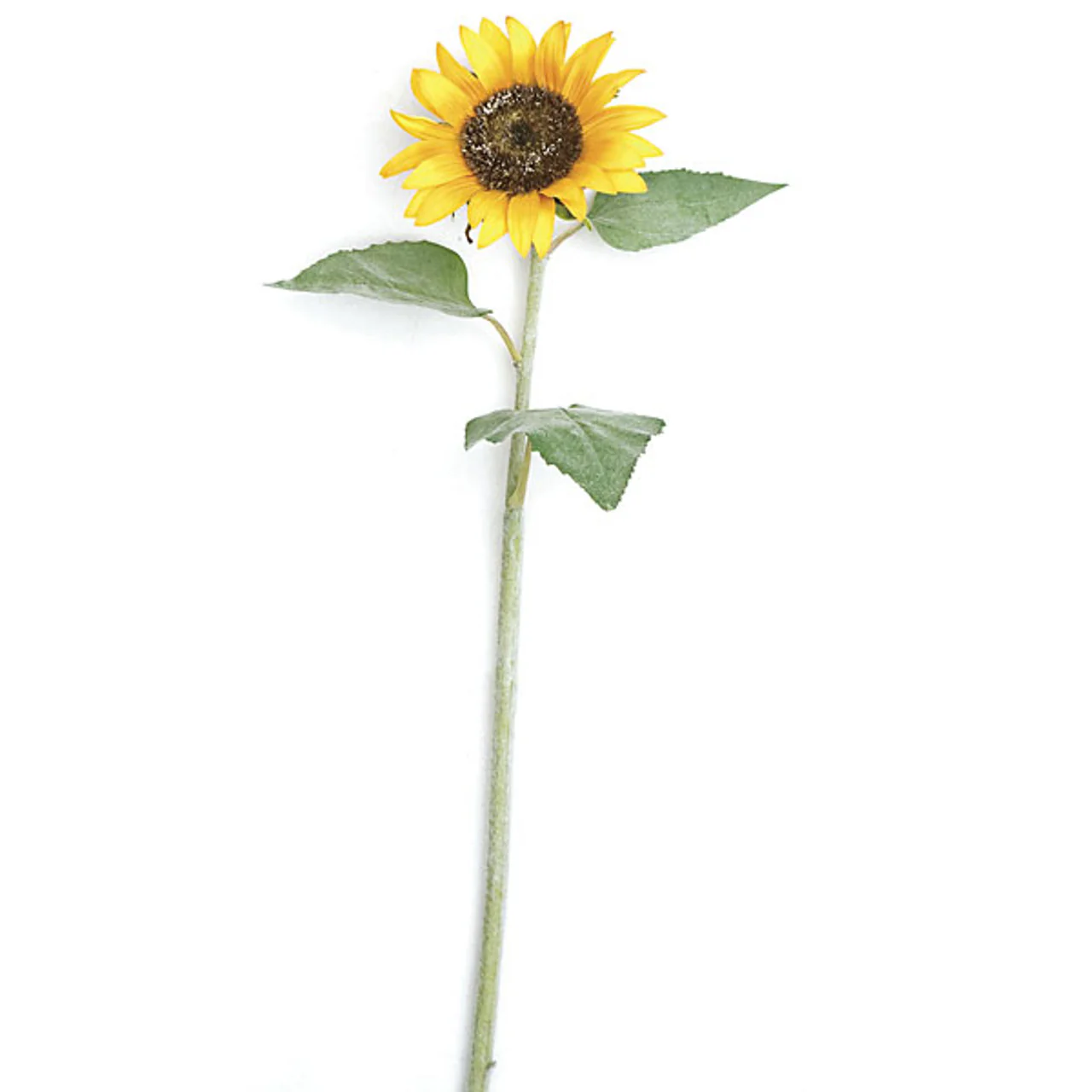 36" Silk Sunflower Flower Stem -Yellow/Orange (Pack of 6)