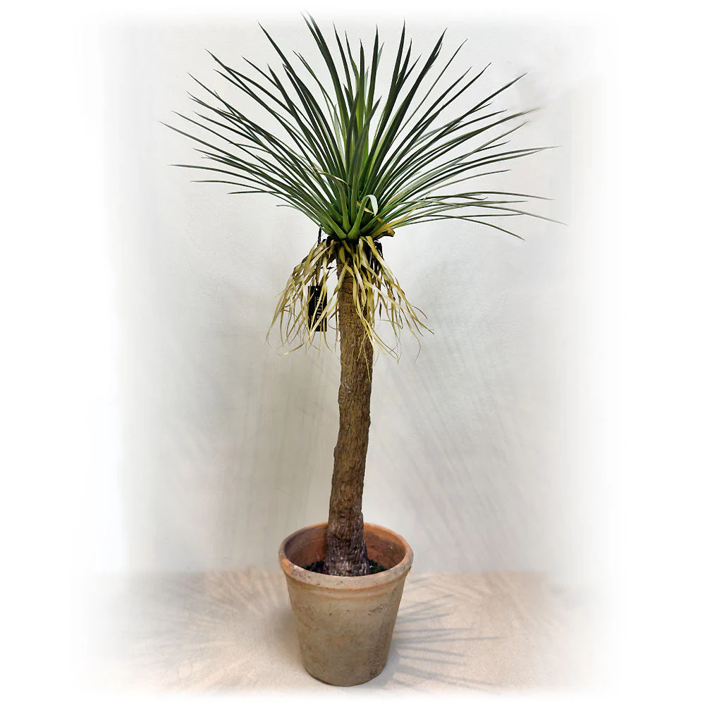 36" Yucca Silk Tree w/Clay Pot -Green (Pack of 2)