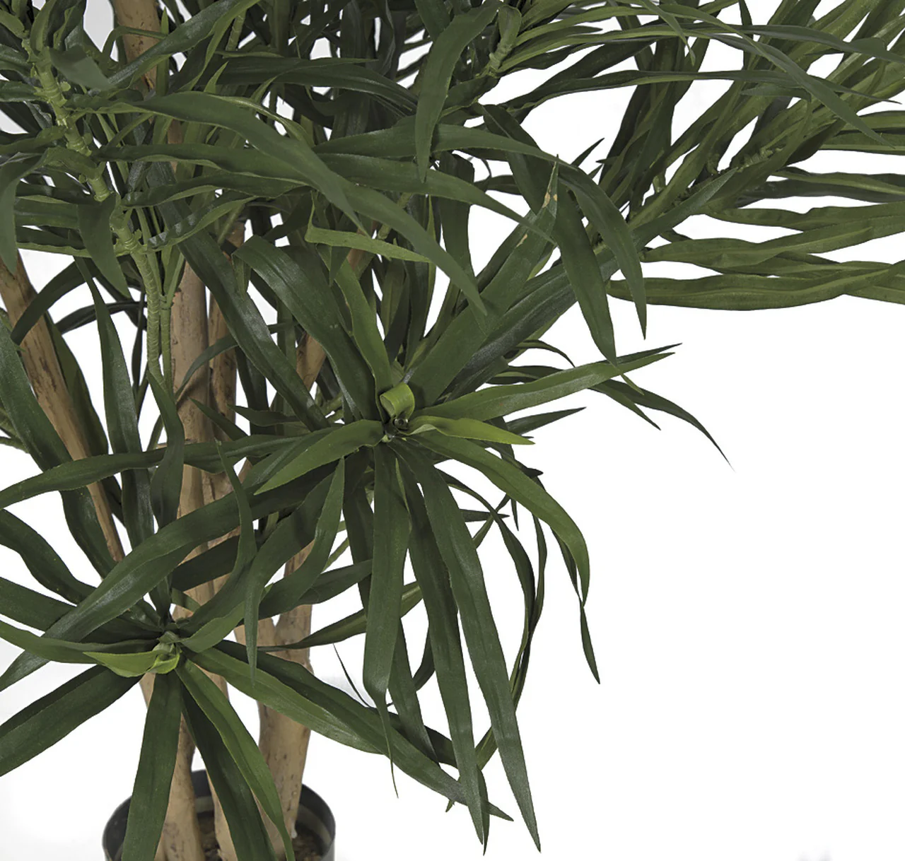 36"Hx30"W IFR Artificial Dracaena Reflexa Tree w/Pot -Green - Image 2