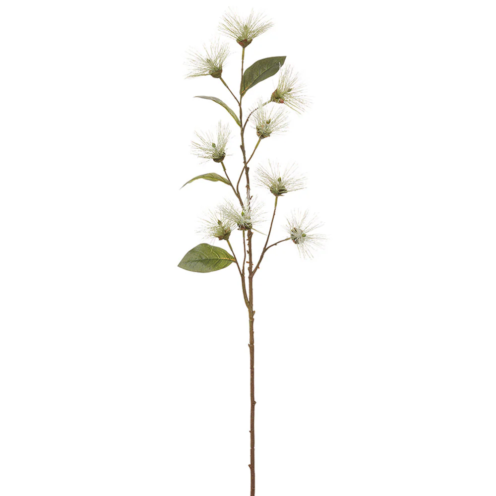 37.5" Lion's Tail Artificial Flower Stem -Cream (Pack of 12)