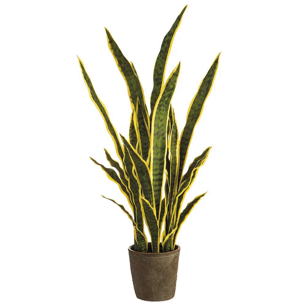 37.5" Sansevieria Snake Artificial Plant w/Cement Pot -Variegated (Pack of 2)