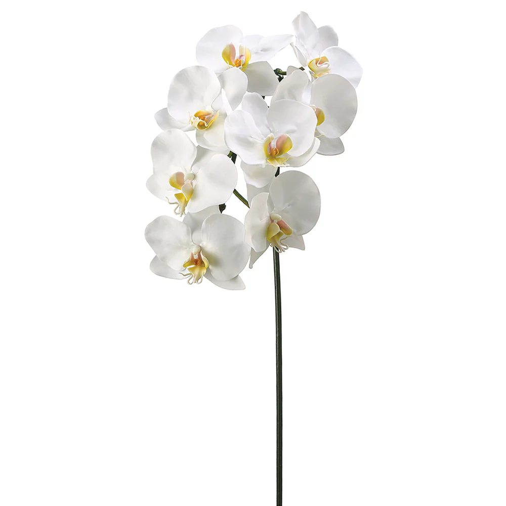 37.5" Silk Phalaenopsis Orchid Flower Spray -White (Pack of 6)