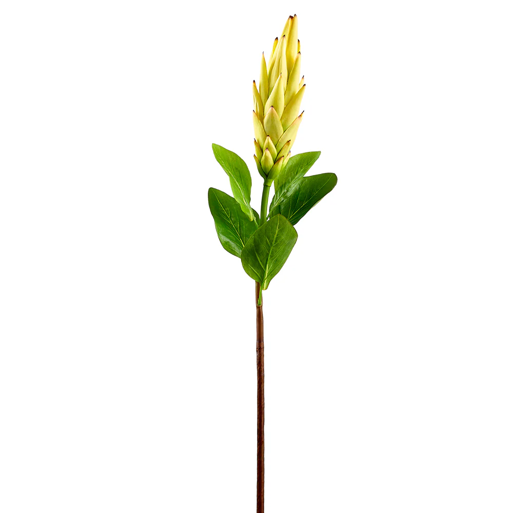 37" Artificial Torch Protea Flower Stem -Yellow/Brown (Pack of 12)