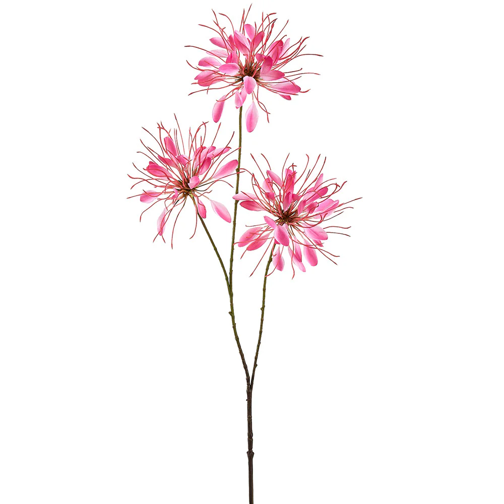 37" Cleome Spinosa Spiny Spiderflower Silk Flower Stem -Orchid (Pack of 12)