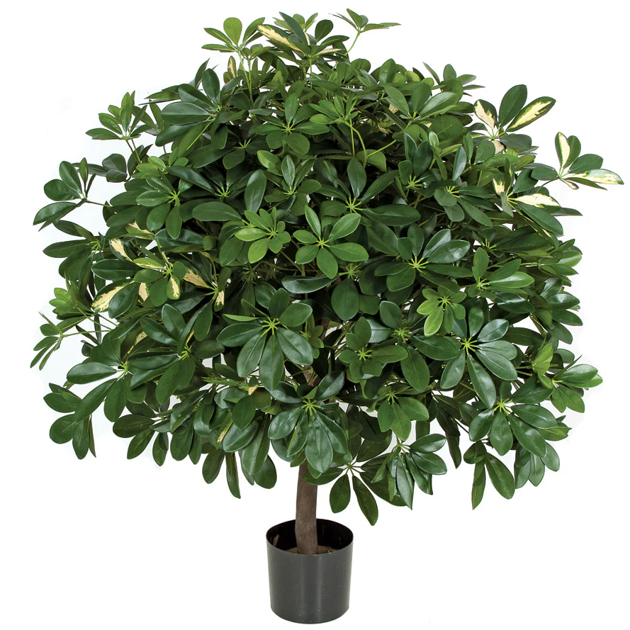 3'7" IFR Schefflera Ball Artificial Tree w/Pot -Green/Yellow