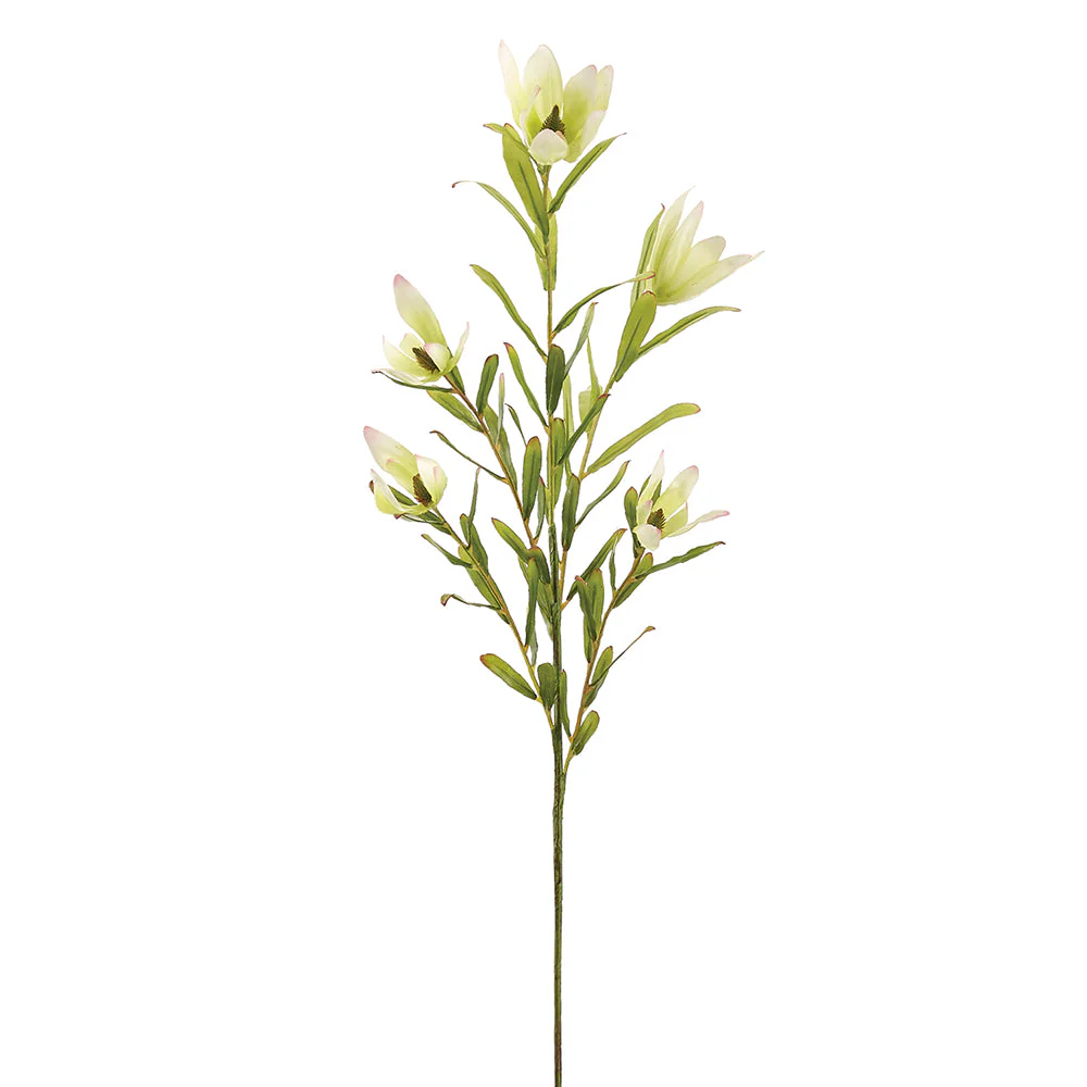 37" Leucadendron Protea Silk Flower Stem -Cream/Green (Pack of 12)