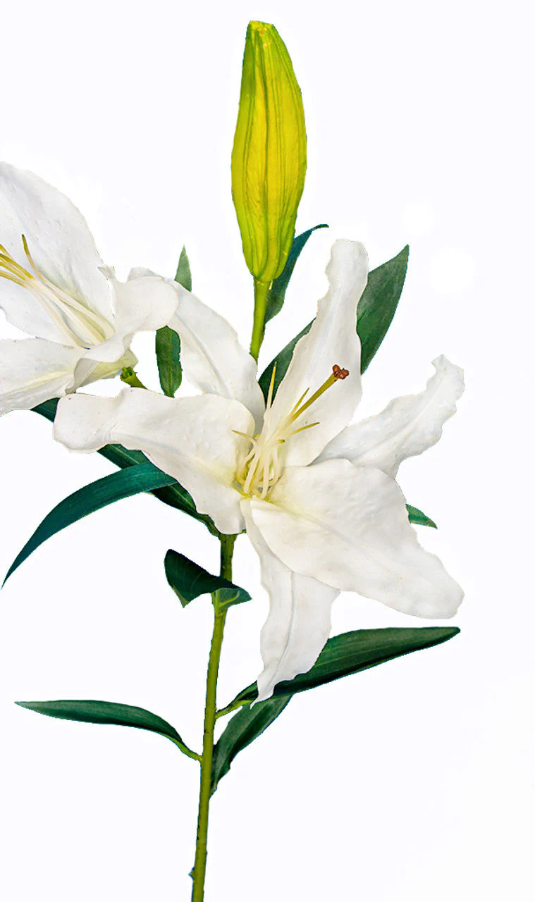 37" Lily Silk Flower Stem -White (Pack of 6) - Image 2